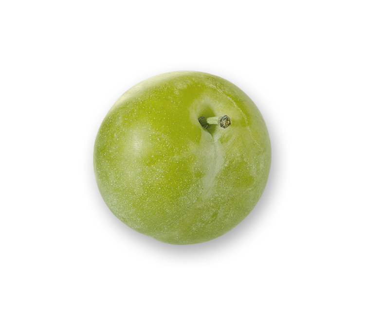 Green plum