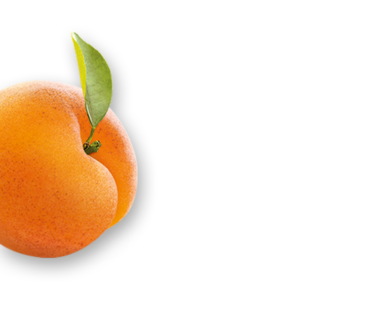 Apricot