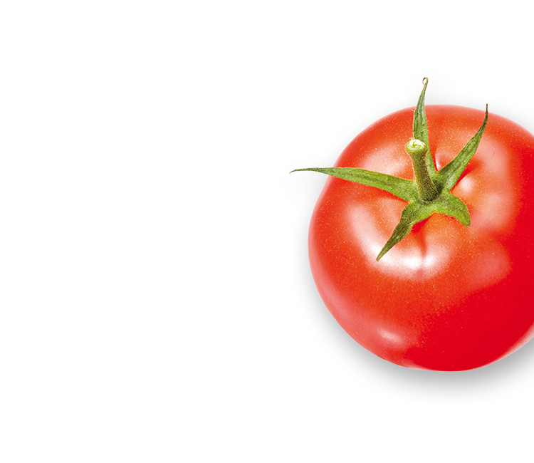 Tomato right